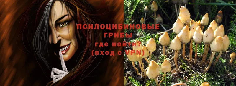 где найти   Шумиха  Галлюциногенные грибы Magic Shrooms 